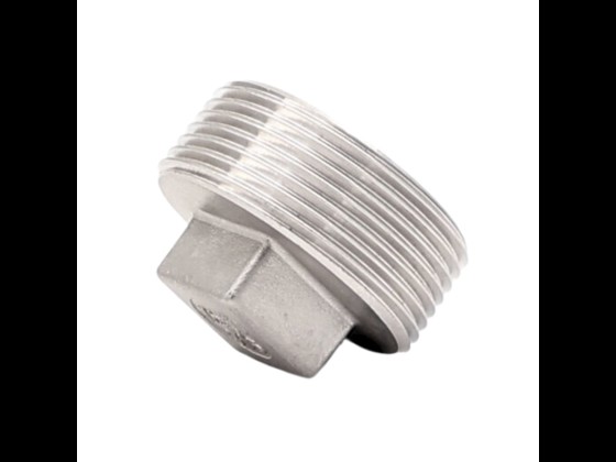 Plug square in stainless steel AISI 316, suitable for pressures up to 10 bar. Durable and ideal for industrial use. Order here!