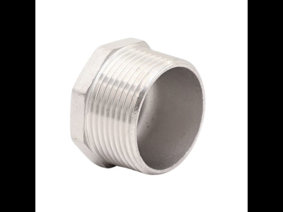 Plug hexagon in stainless steel AISI 316, suitable for pressures up to 10 bar. Durable and reliable for industrial use. Order here!