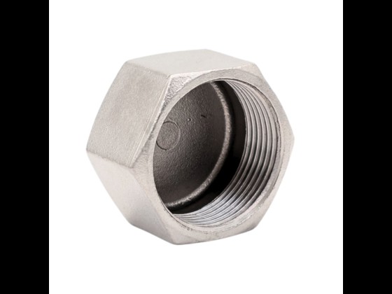Stainless end bushing in AISI 316, designed for pressures up to 10 bar. High quality and durable, ideal for industrial use. Order here!